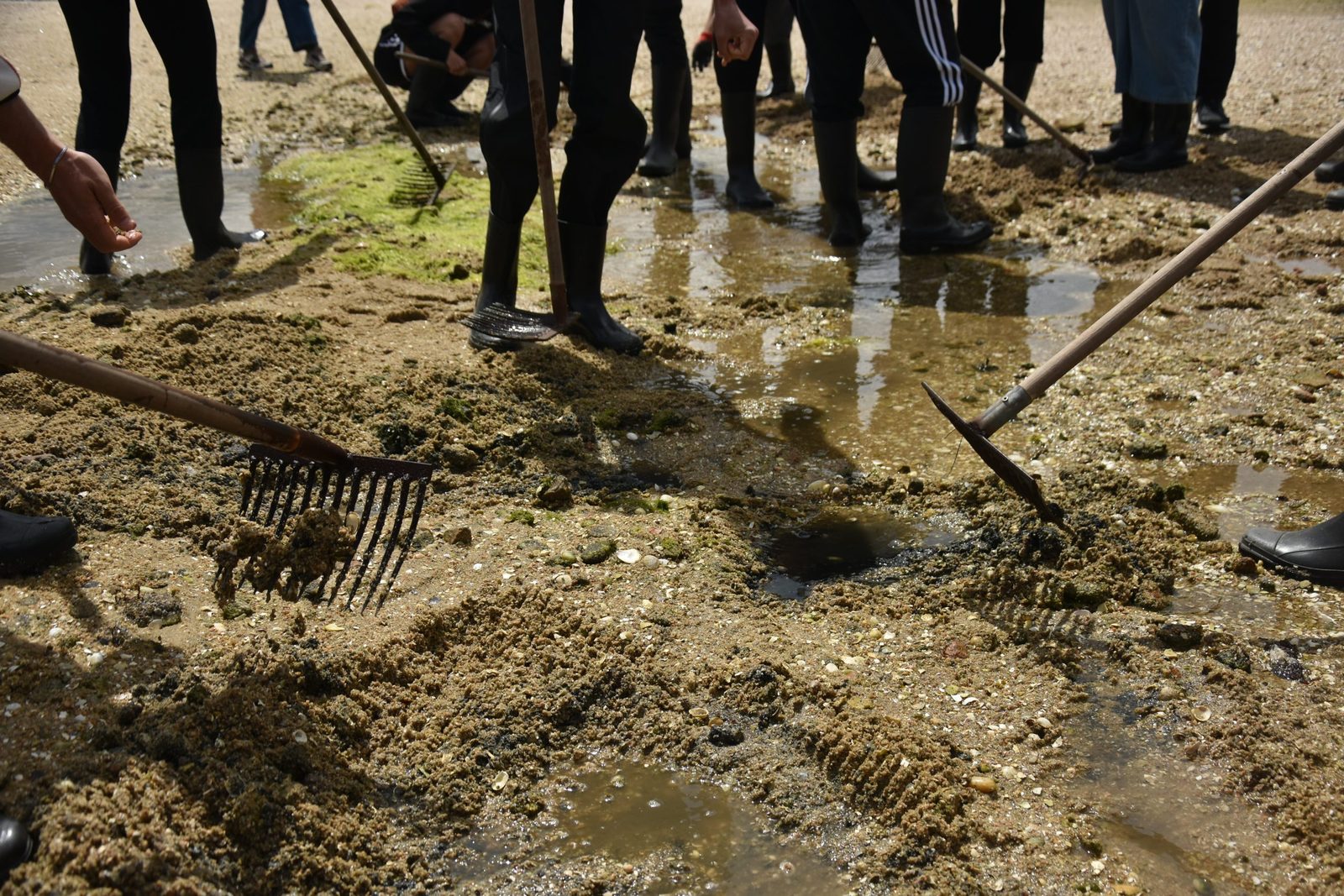 A moment from SOLIDMAR — Solidarity Shores
